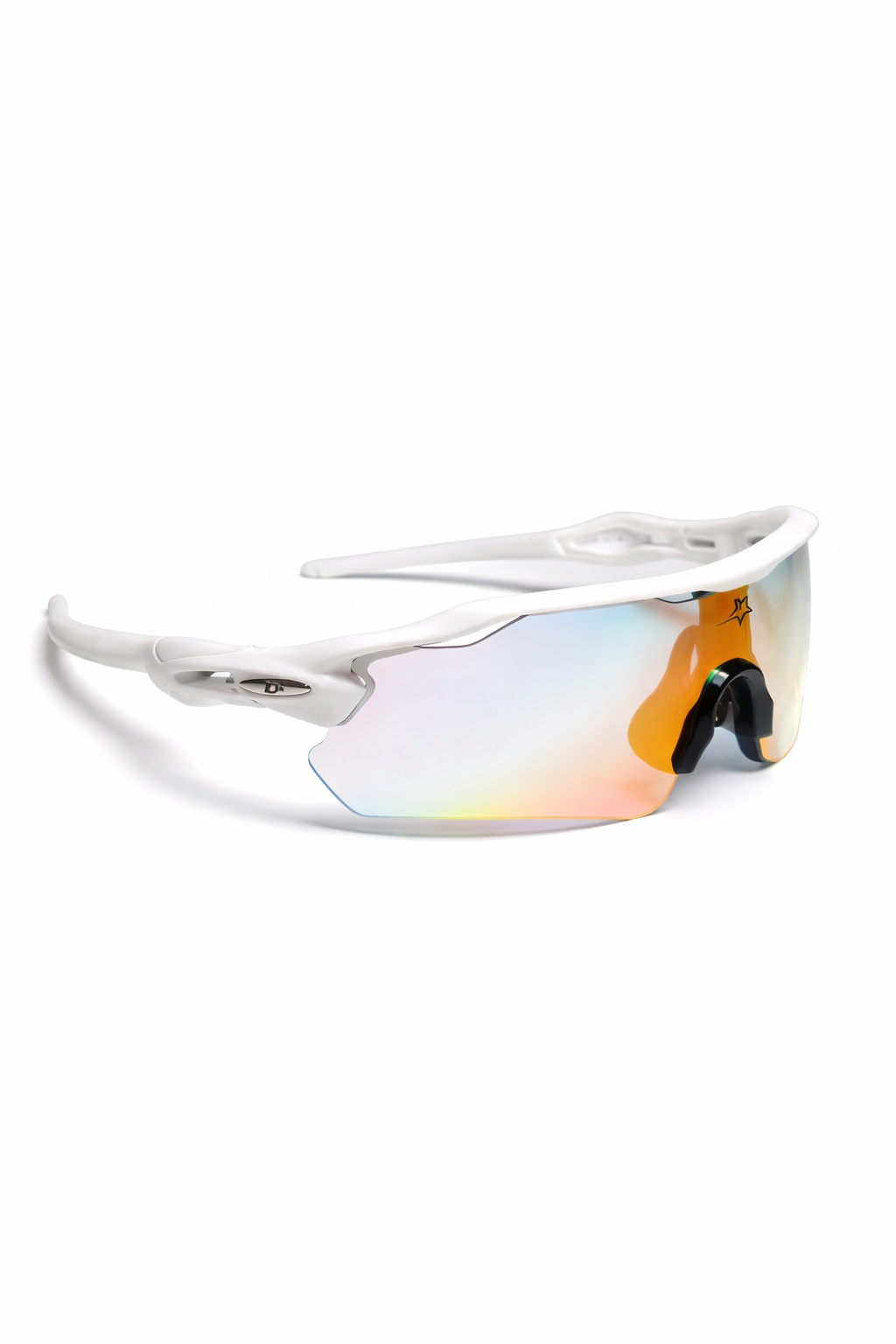 PRISM ICE